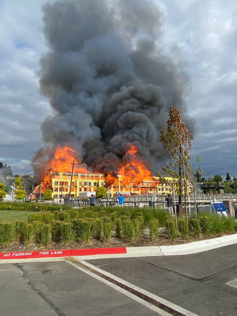 Courtesy of Suzanne McQuen