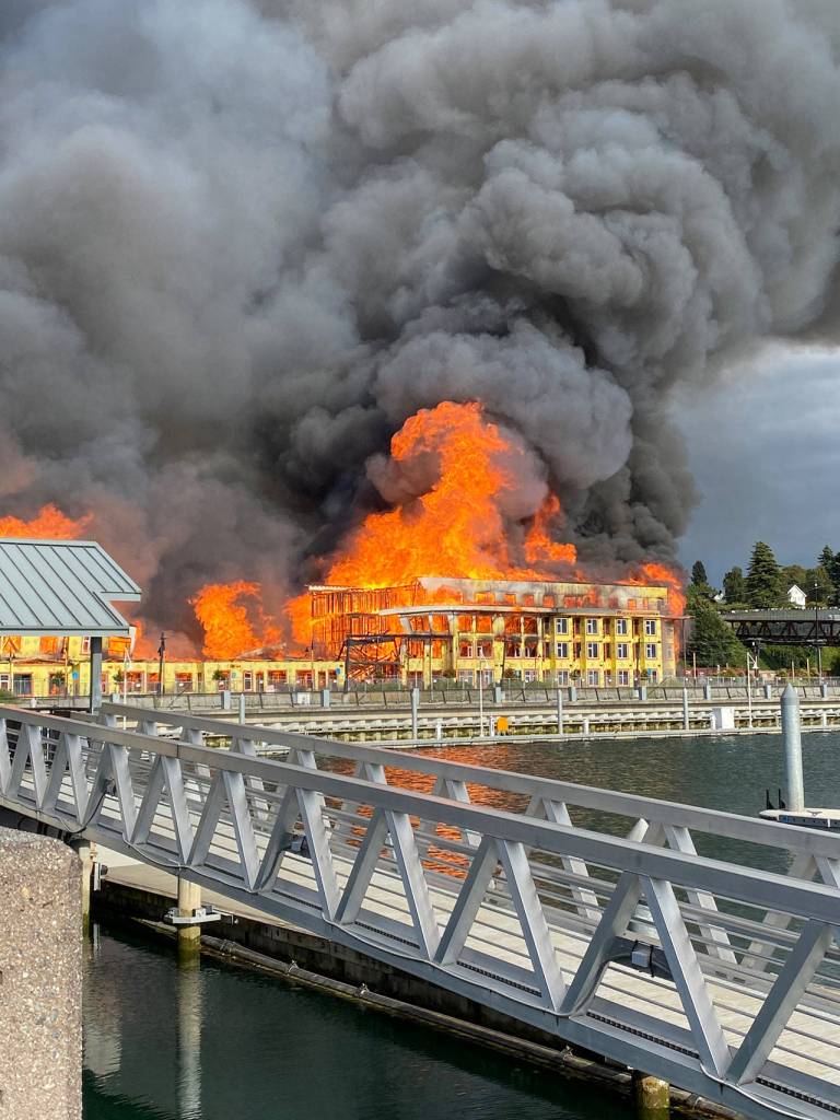 Courtesy of Suzanne McQuen