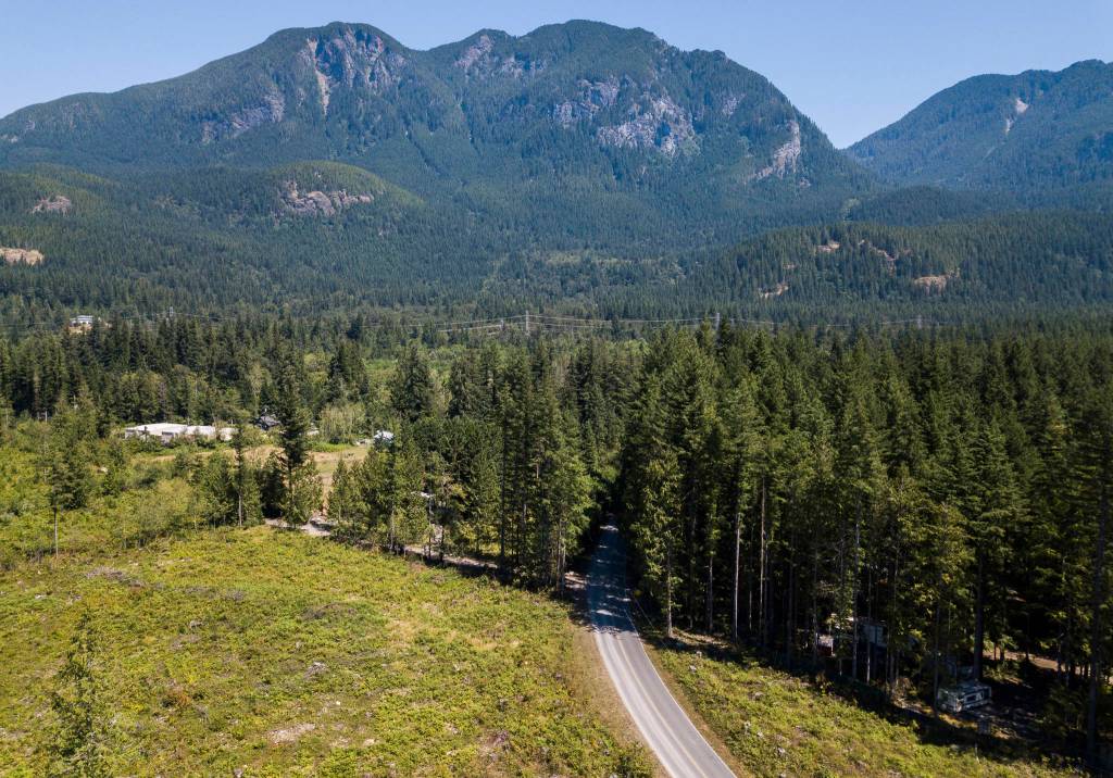 A view of the hillside where a timber cut is proposed near Gold Bar. (Olivia Vanni / The Herald)