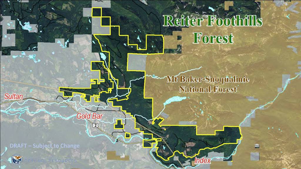 A map showing the 10,000-acre Reiter Foothills Forest, outlined in yellow. (Washington State Department of Natural Resources)