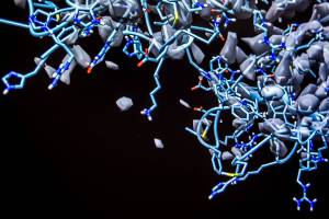 The pandemic’s roots: UW Bothell team models the coronavirus