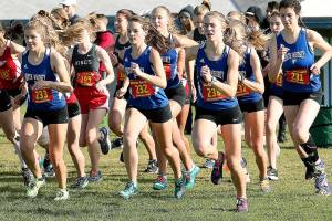 Whidbey Island’s three high schools postpone sports