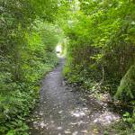 Forgotten Creek Trail. (Sue Misao / The Herald)