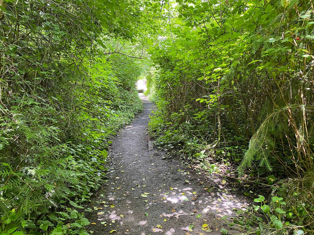 Forgotten Creek Trail. (Sue Misao / The Herald)