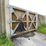 That time Janice wanted to see the freeway up close and personal. (Sue Misao / The Herald)