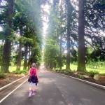 Sue leads the way through the Everett Golf & Country Club. (Andrea Brown / The Herald)