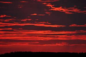 Yes, Sunday was a cooker: It reached 100 at Paine Field