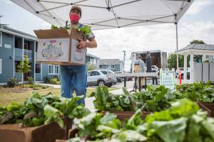 The county feeds people and pays farmers with federal funds