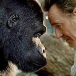 Ivan (voiced by Sam Rockwell) and Bryan Cranston as Mack in The One and Only Ivan. (Disney)