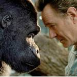 ‘Ivan’ tells amazingly rendered story of a mall gorilla