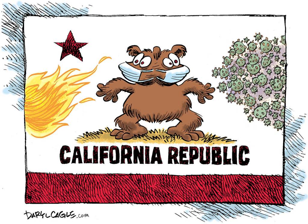 Editorial cartoons for Monday, Aug. 24
