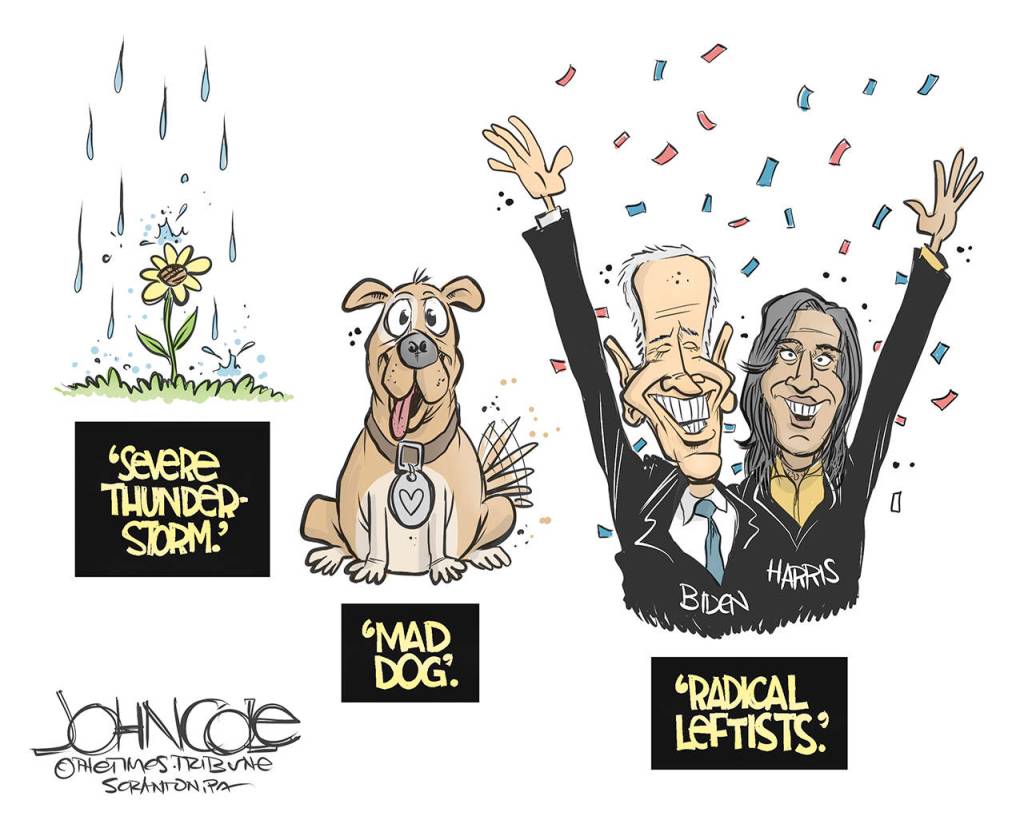 Editorial cartoons for Saturday, Aug. 22