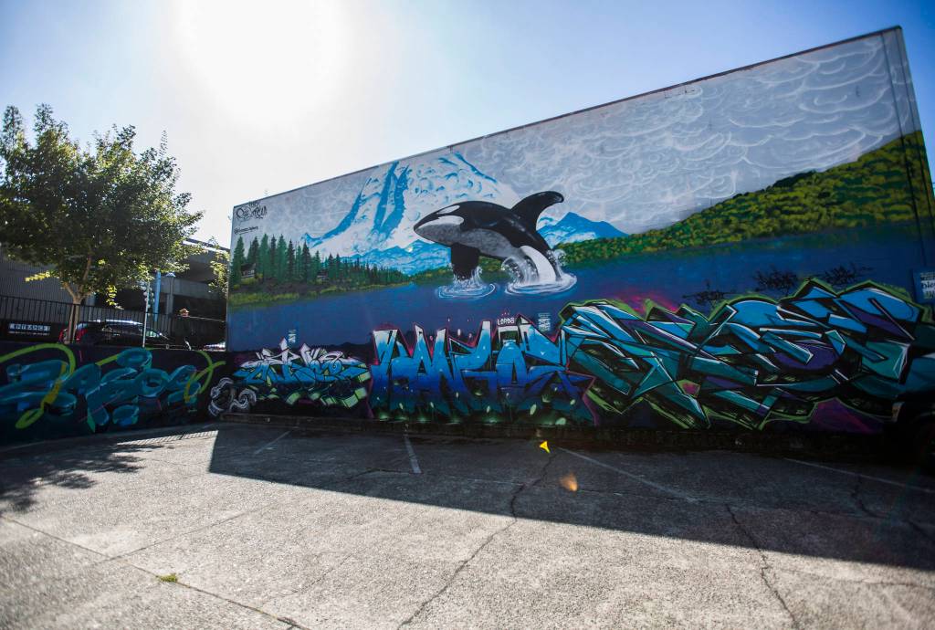Multiple artists graffiti on display along Hoyt Avenue on Wednesday in Everett. (Olivia Vanni / The Herald)