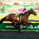 Anothertwistafate is expected to be the favorite in Thursdays Longacres Mile at Emerald Downs. (Photo courtesy of Emerald Downs)