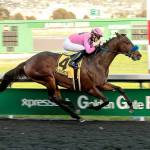 Photo courtesy of Emerald Downs                                Anothertwistafate is expected to be the favorite in Thursdays Longacres Mile at Emerald Downs.