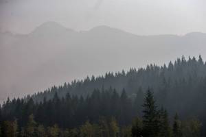 Two simultaneous health crises: Wildfire smoke, coronavirus