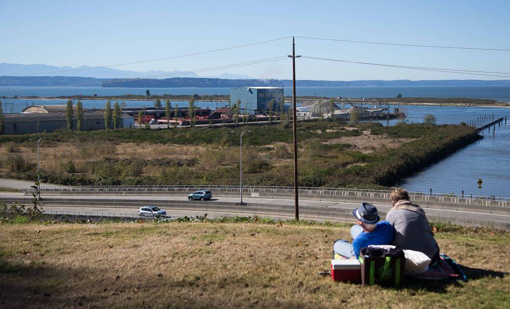 A couple looks over the the Bay Wood property from Legion Park on Monday in Everett. The sites former days as a sawmill left it rife with contamination. (Andy Bronson / The Herald)