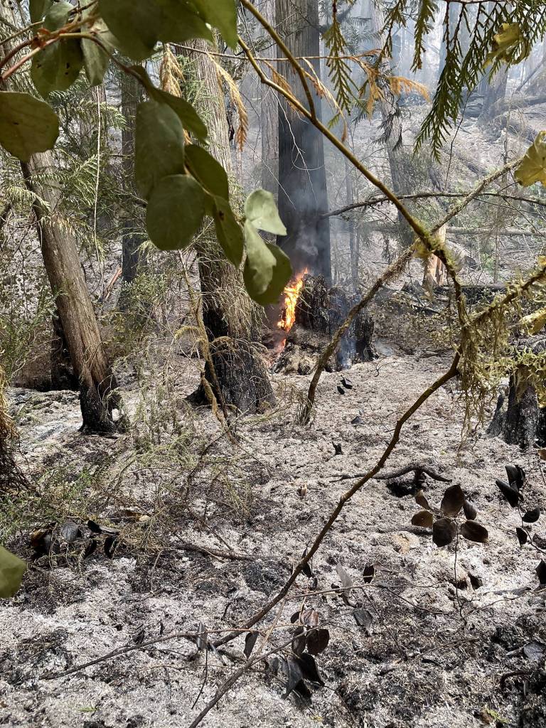 The Downey Creek Fire has burned about 2,600 acres in the Glacier Peak Wilderness. (Sandra Ruffner)