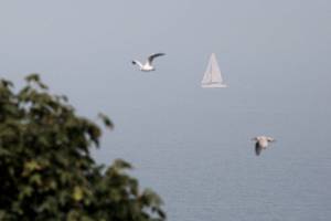 Rain and wind wash away much of the smoke, but be cautious