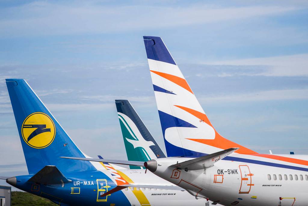 A group of airplanes sit parked on along Paine Fields runway on Wednesday, Oct. 2, 2019 in Everett, Wa. (Olivia Vanni / The Herald)