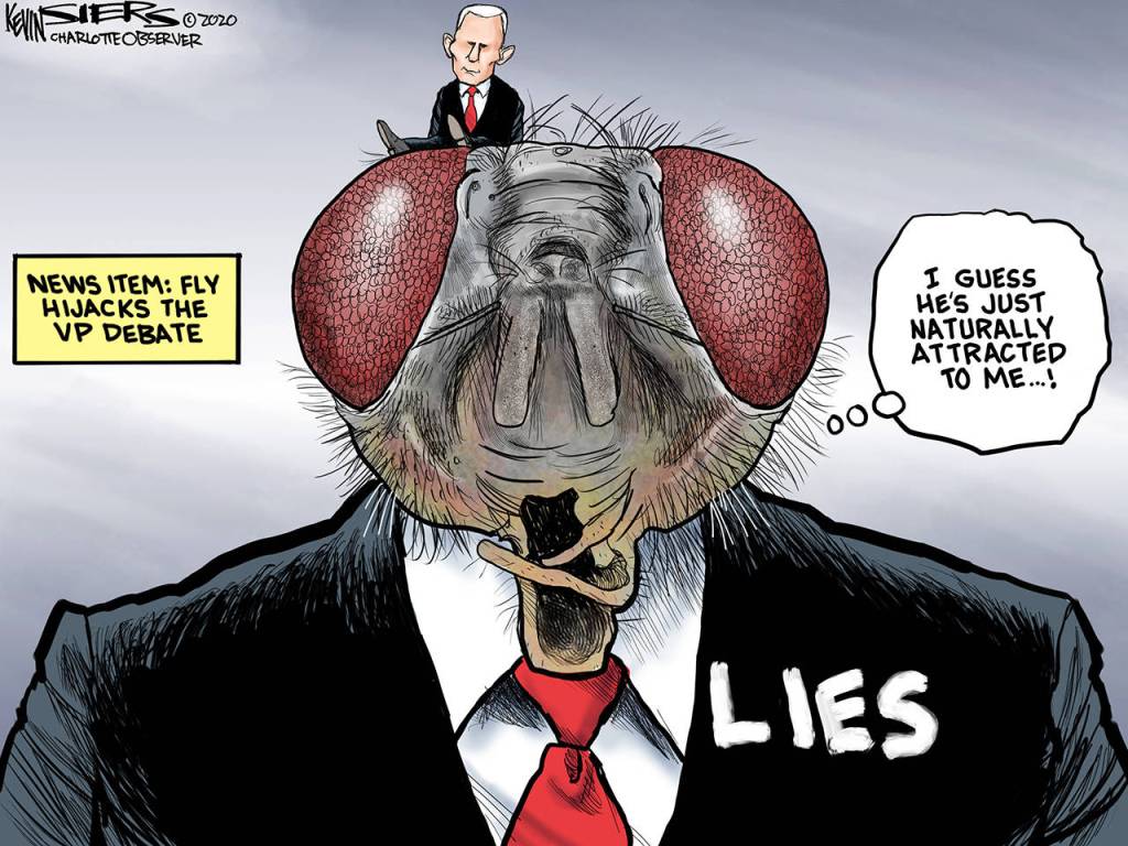 toon