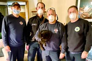 Firefighters rescued Bennett the cat from a chimney Sunday night. The cat was missing a week before someone heard him calling for help. Firefighters worked him out of the flue by hand. (Marysville Fire District)