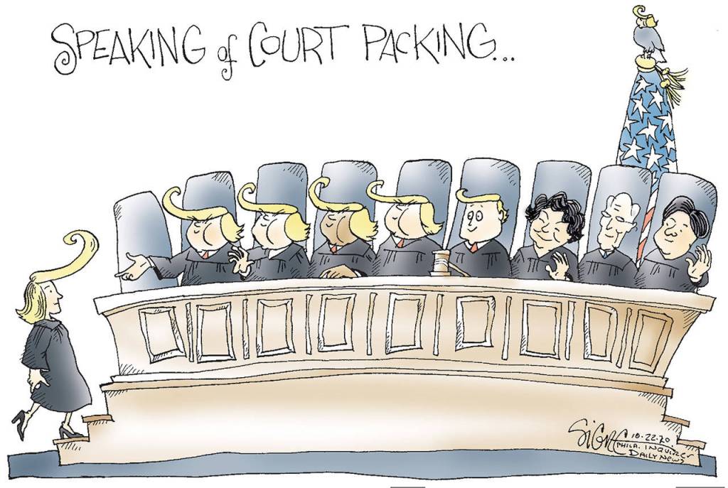 Signe cartoonTOON22Court Packing
