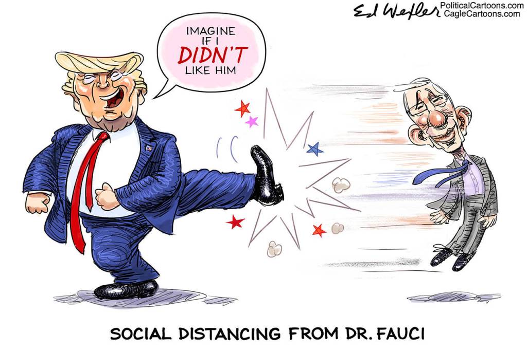 toon