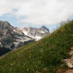 Taking photos in higher light, like when hiking, is can be a challenge, so finding a low film speed is important! This photo is of Hannegan Peak Trail near Maple Falls. (Christina Hickman)