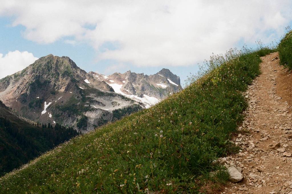 Taking photos in higher light, like when hiking, is can be a challenge, so finding a low film speed is important! This photo is of Hannegan Peak Trail near Maple Falls. (Christina Hickman)