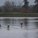 Rowers with the Everett Rowing Association row in single sculls on the Snohomish River. (Andy Bronson / The Herald)