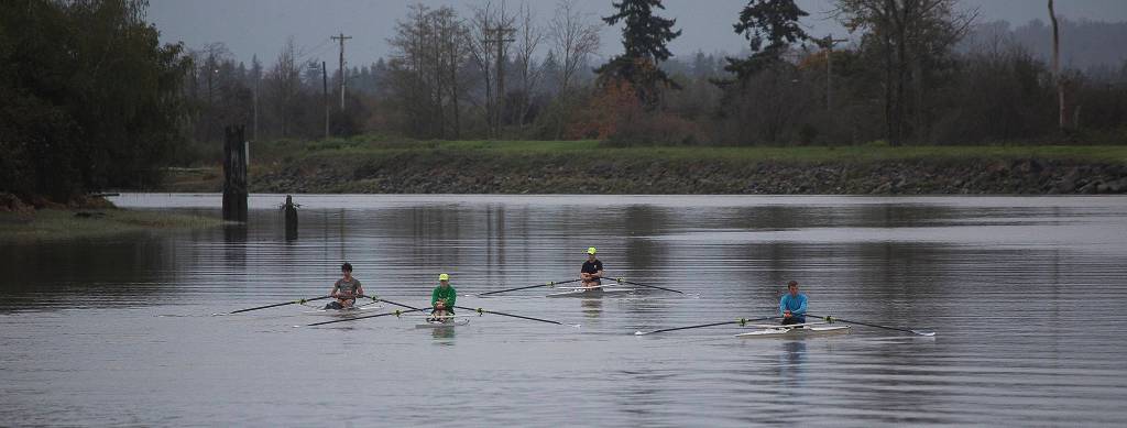 Rowers with the Everett Rowing Association row in single sculls on the Snohomish River. (Andy Bronson / The Herald)