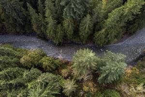 The Pilchuck River flows freely through the pervious site of the Pilchuck River Dam on Tuesday, Oct. 27, 2020 in Granite Falls, Wa. (Olivia Vanni / The Herald)
