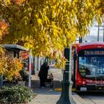 Everett Transit has cut Sunday and holiday service, plus Route 6 which loops from Everett Station to College station and West Marine View Drive along the waterfront. (Kevin Clark / The Herald)