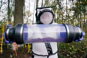Sven Spichiger, Washington State Department of Agriculture managing entomologist, displays a canister of Asian giant hornets vacuumed from a nest in a tree behind him Saturday, Oct. 24, 2020, in Blaine, Wash. Scientists in Washington state discovered the first nest earlier in the week of so-called murder hornets in the United States and worked to wipe it out Saturday morning to protect native honeybees. Workers with the state Agriculture Department spent weeks searching, trapping and using dental floss to tie tracking devices to Asian giant hornets, which can deliver painful stings to people and spit venom but are the biggest threat to honeybees that farmers depend on to pollinate crops. (AP Photo/Elaine Thompson)