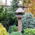 steve smith on conifers