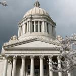 In this photo taken March 23, 2020, cherry trees bloom next to the Capitol building in Olympia, Wash. (AP Photo/Elaine Thompson)