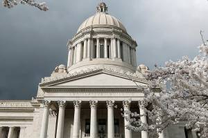 In this photo taken March 23, 2020, cherry trees bloom next to the Capitol building in Olympia, Wash. (AP Photo/Elaine Thompson)