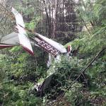 A Cessna 177 crashed near the Whidbey Airpark in Langley on Wednesday, killing two. (Island County Sheriff's Office)