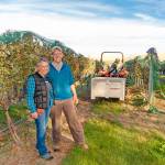 USA, Washington, Walla Walla. Harvest 2019, Armstrong Family Winery.