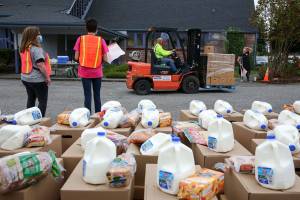 Volunteers await the next grouping a cars Friday morning at the Faith Food Bank at Faith Lutheran Church in Everett on October 9, 2020.   (Kevin Clark / The Herald)