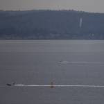 A patrol boat heads across Possession Sound while the search for a Tulalip police officer missing from a capsized Tulalip fisheries boat continues Wednesday near Everett. (Olivia Vanni / The Herald)