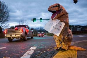 Sky Valley Education Center teacher Jeanna Stroble, who has been a teacher for 34 years, waves a sign in support while wearing a T-Rex costume as the We Teach Monroe parade and rally drives by on Thursday, Nov. 19, 2020 in Monroe, Wa. (Olivia Vanni / The Herald)