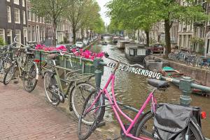 Bikes: the preferred transport.