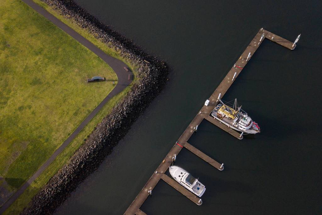 A corner of Boxcar Park that the Port of Everett will turn into an elevated beach. (Olivia Vanni / The Herald)