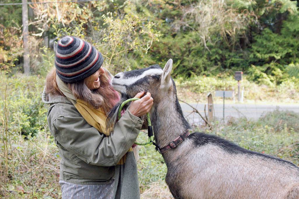 Sabine Wilms and Lady Yang Xiaomei, one of two goats she nurtured back to health. (Kira Erickson / Whidbey News-Times)
