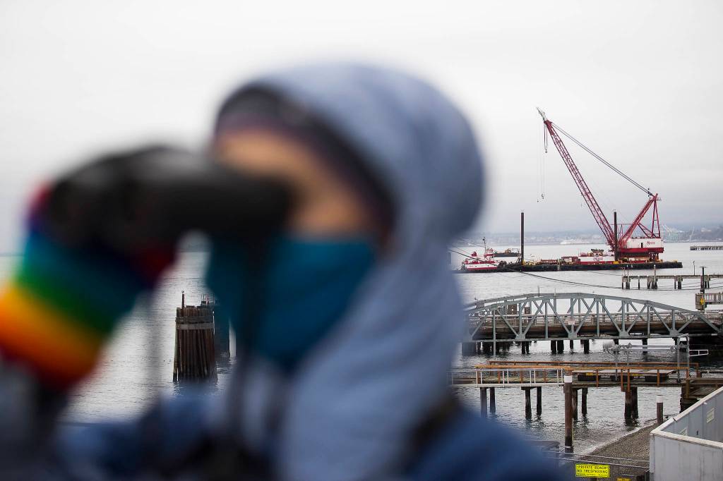 From the Mukilteo lighthouse, Michelle Wainstein watches for marine mammals as a tugboat maneuvers a crane into place to begin pile driving at the new Mukilteo ferry terminal on Dec. 15. Manson Construction, the marine contractor on the ferry terminal project, is required to have monitors stand watch for marine mammals while crews do pile driving, typically several days a month. (Andy Bronson / The Herald)