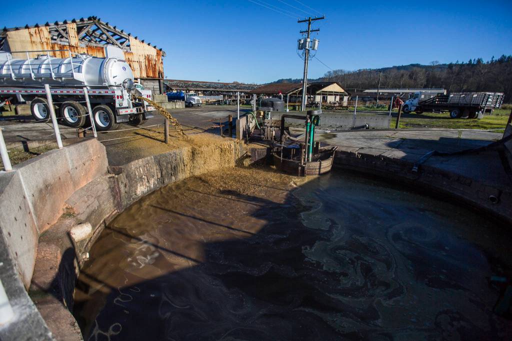 Excess food waste is emptied into an input tank in Monroe. (Olivia Vanni / The Herald)