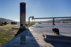The anaerobic digester's flare, where excess gas is combusted, casts a shadow over the top of the digester on Wednesday, Dec. 2, 2020 in Monroe, Wa. (Olivia Vanni / The Herald)