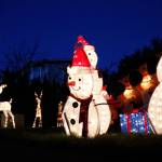 Christmas lights decorate a home in Arlington and throughout Snohomish County and are listed online via Facebook.  (Kevin Clark / The Herald)